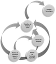 Estrutura Organizacional